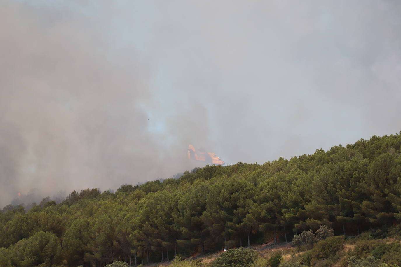 Fotos: Incendio en el monte Yerga en Alfaro y Grávalos