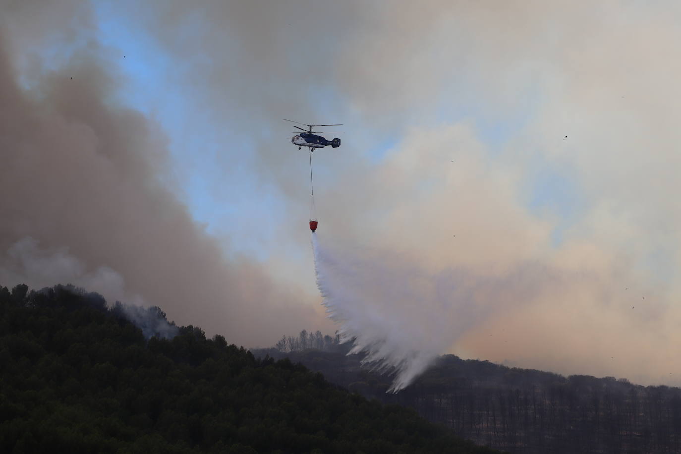 Fotos: Incendio en el monte Yerga en Alfaro y Grávalos