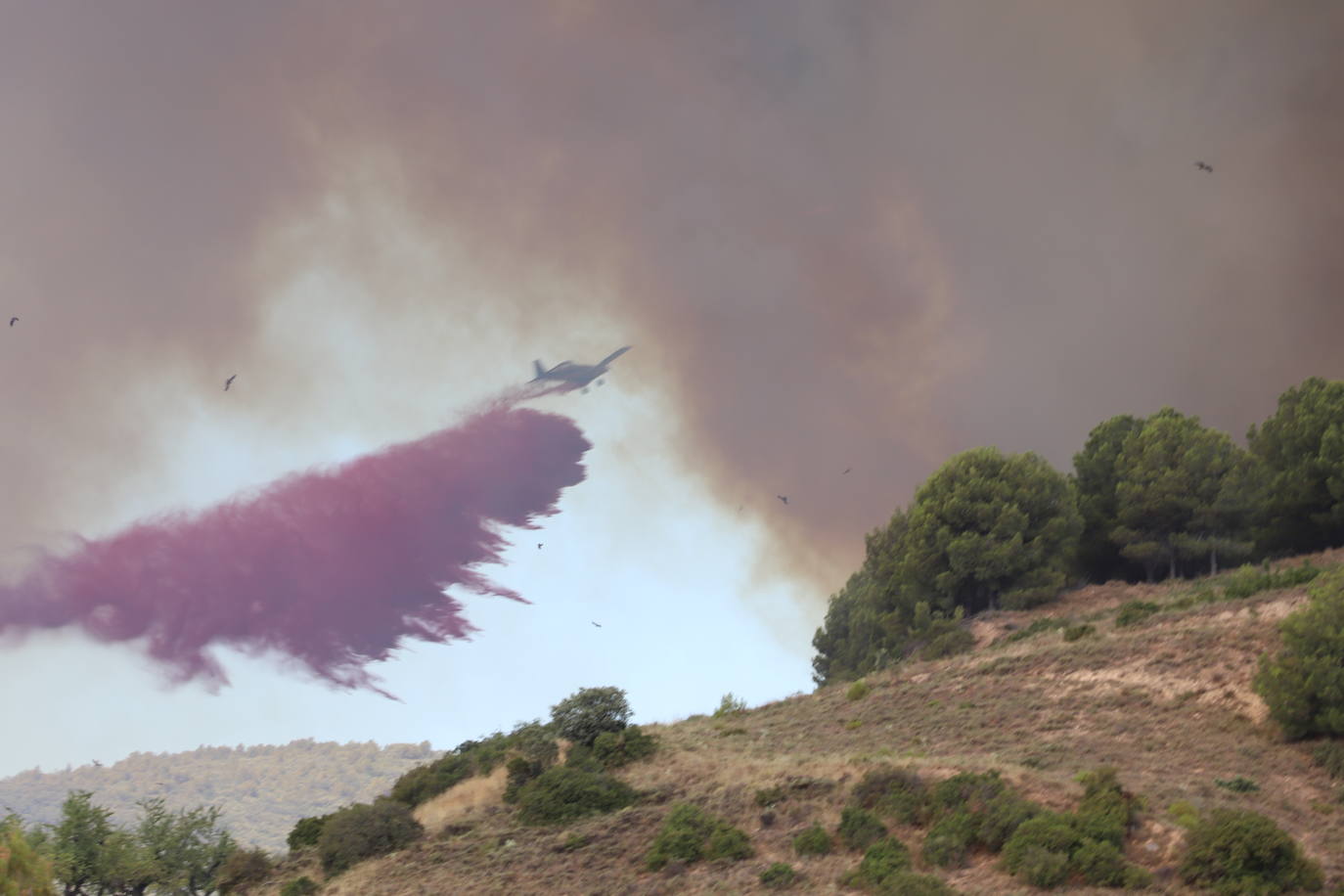 Fotos: Incendio en el monte Yerga en Alfaro y Grávalos