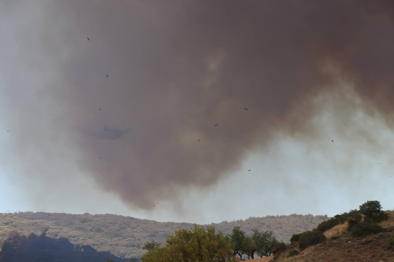 Fotos: Incendio en el monte Yerga en Alfaro y Grávalos