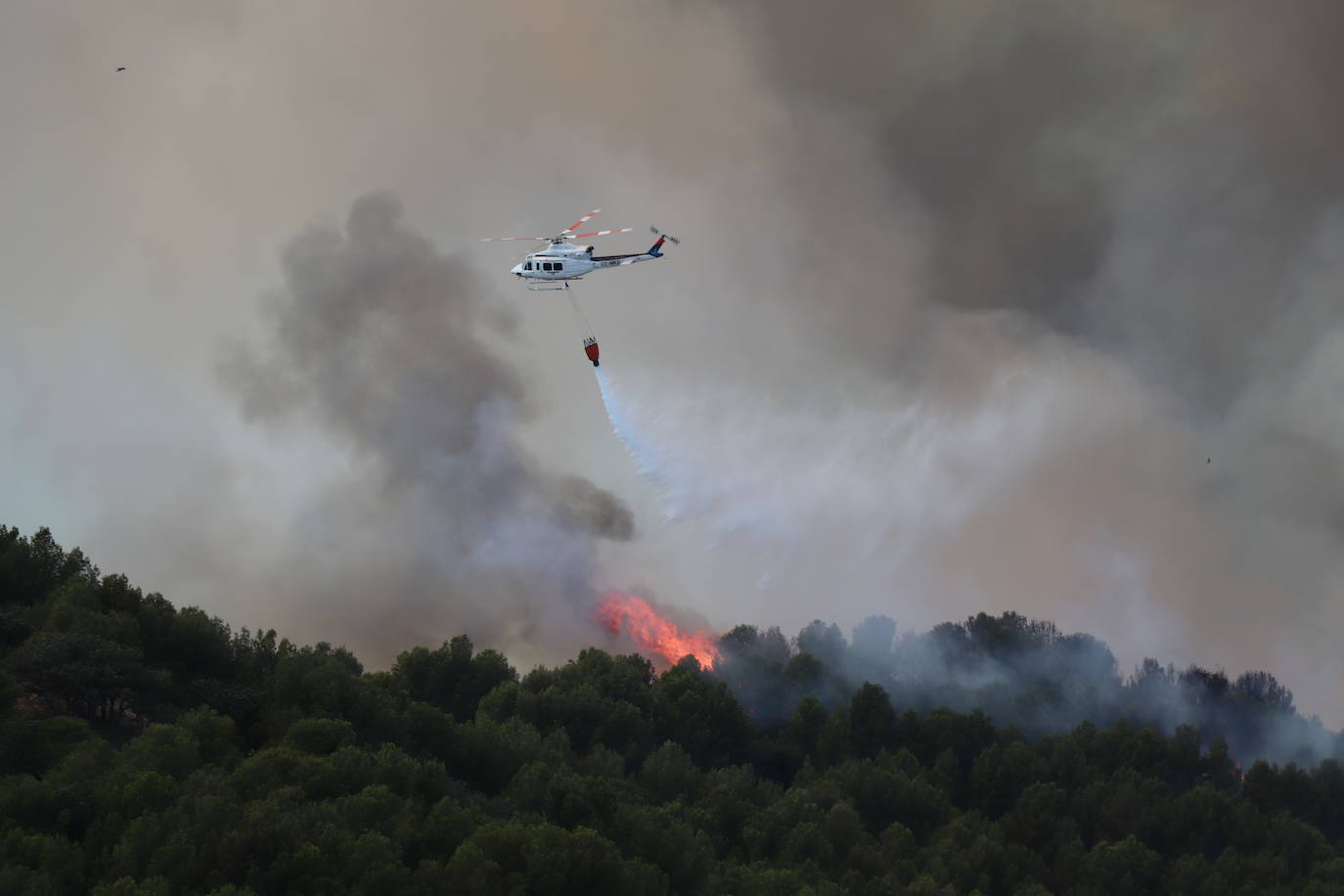 Fotos: Incendio en el monte Yerga en Alfaro y Grávalos