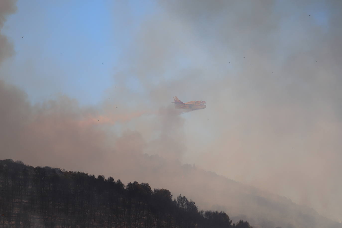 Fotos: Incendio en el monte Yerga en Alfaro y Grávalos