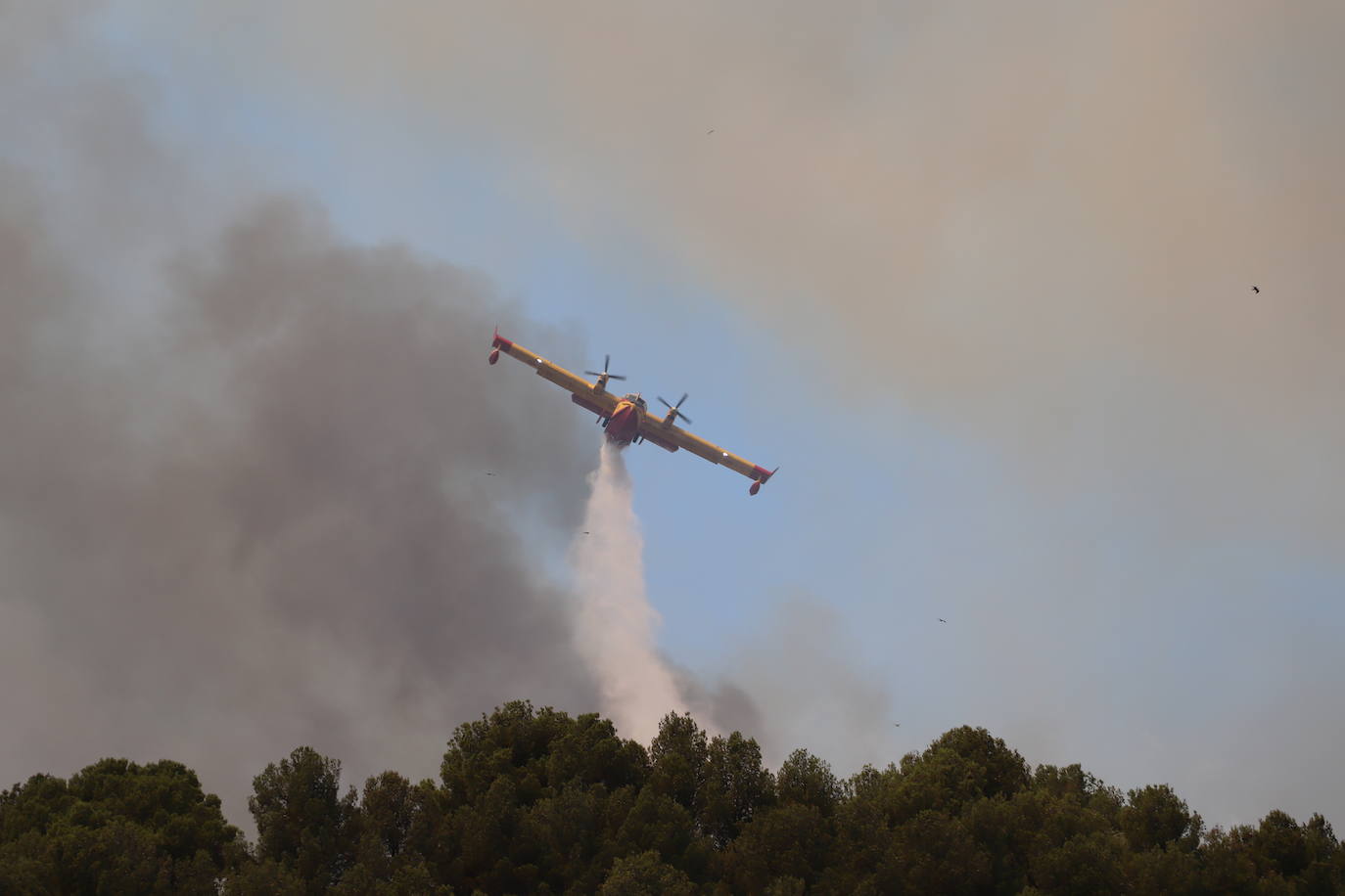 Fotos: Incendio en el monte Yerga en Alfaro y Grávalos