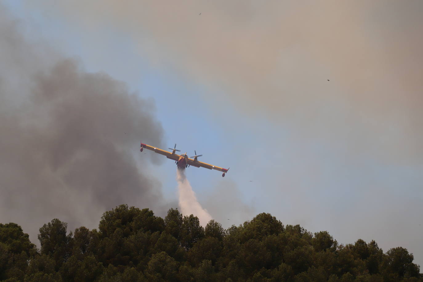 Fotos: Incendio en el monte Yerga en Alfaro y Grávalos