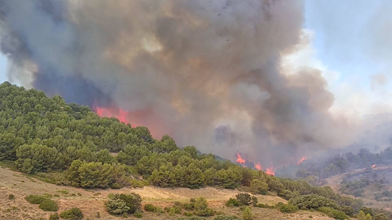 VÍDEO | Incendio en Yerga: así son las columnas de fuego que queman el monte