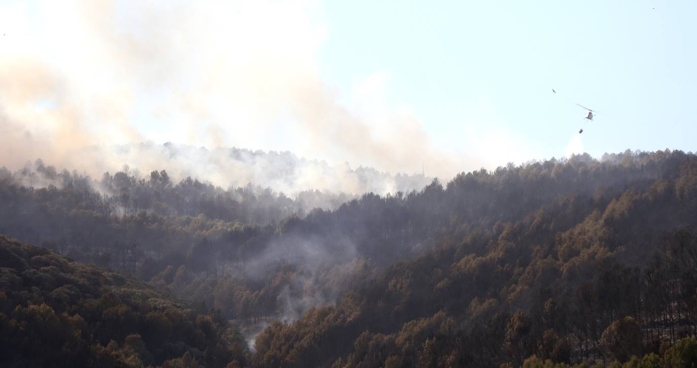 Fotos: Incendio en Yerga: las imágenes del fuego que quema el monte riojano