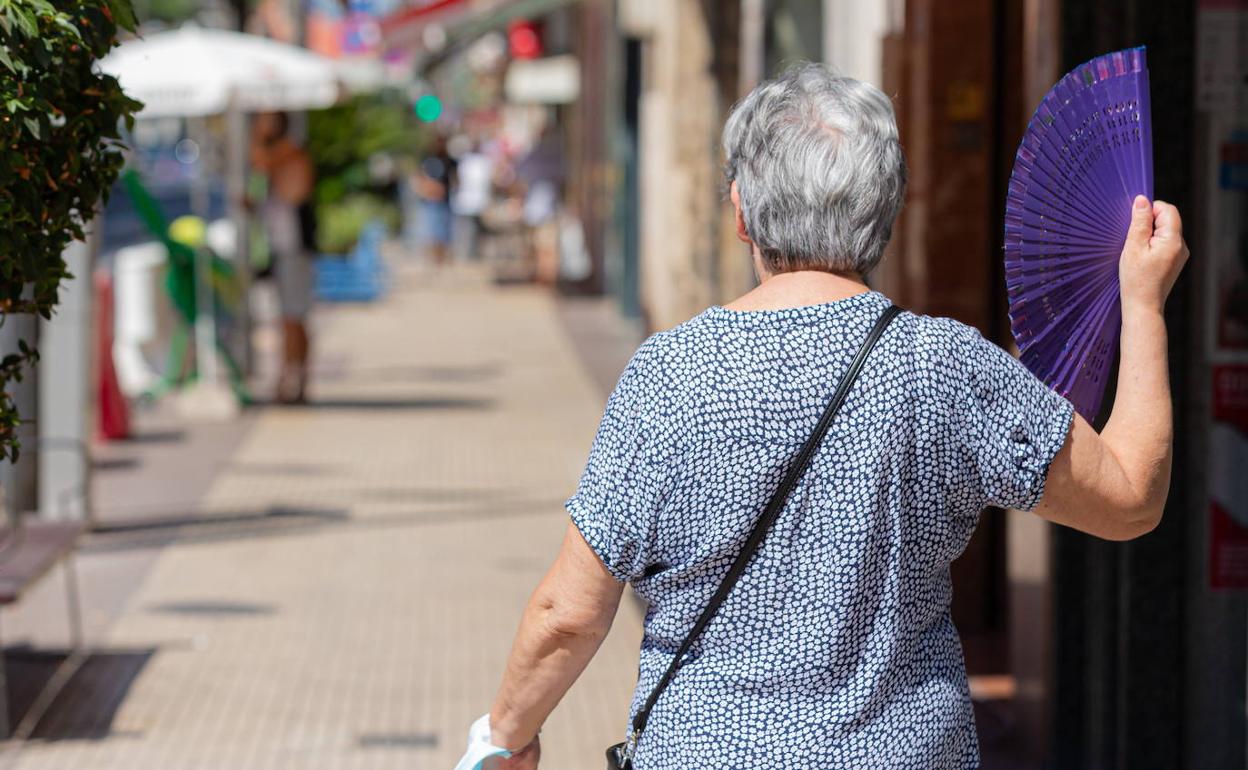 El tiempo en La Rioja : Las claves de la ola de calor: por qué es excepcional