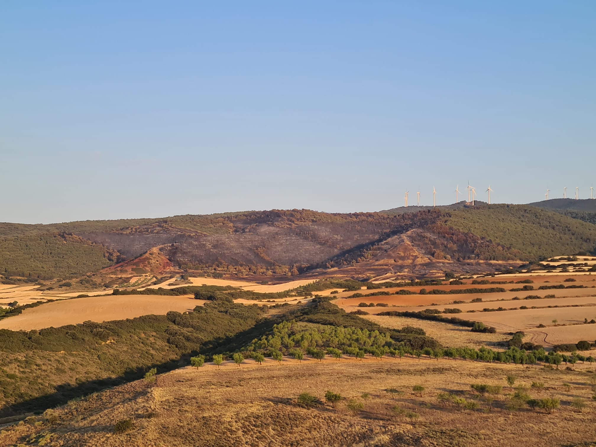 Fotos: Así se ven desde el aire las 104 hectáreas quemadas en Yerga