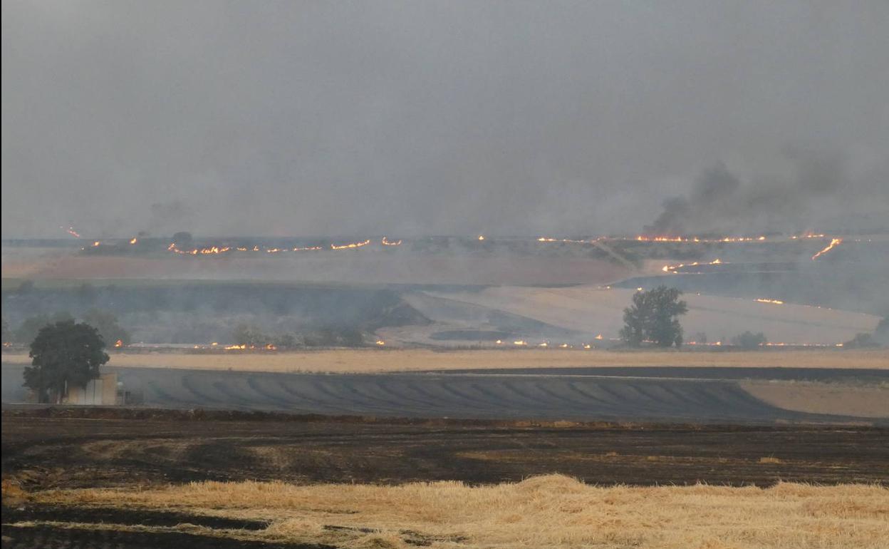 Incendios en La Rioja: Controlados los cuatro incendios simultáneos que pusieron en alerta a La Rioja Alta