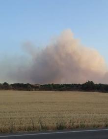 Imagen secundaria 2 - Imágenes del incendio entre Badarán y Villaverde visto desde la carretera que une Cárdenas y Badarán. 