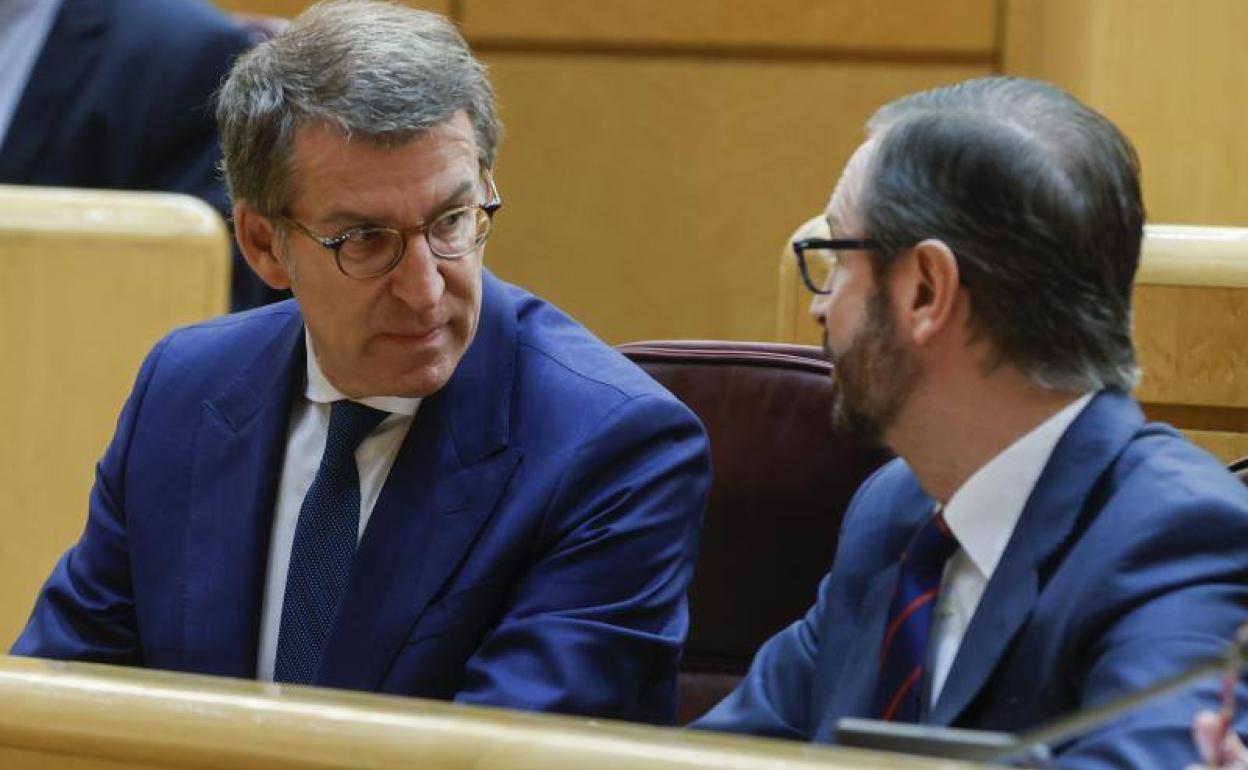 Alberto Núñez Feijóo y Javier Maroto en el Senado.