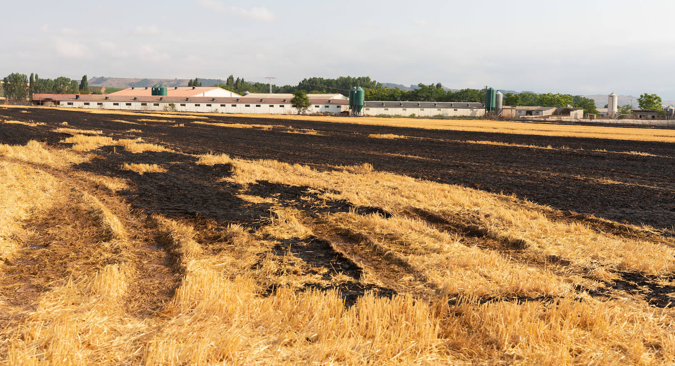 Fincas quemadas en Torrecilla sobre Alesanco.