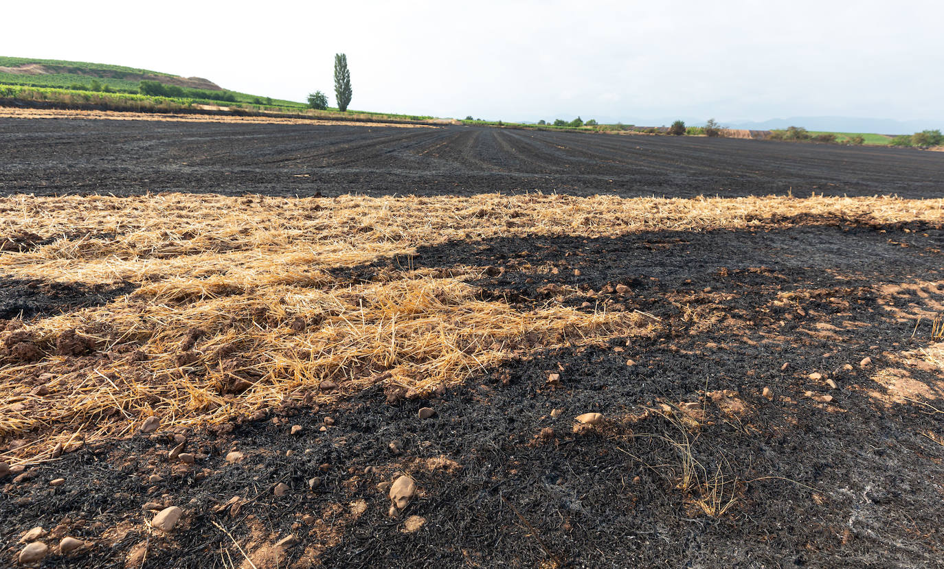 Fincas quemadas en Torrecilla sobre Alesanco.