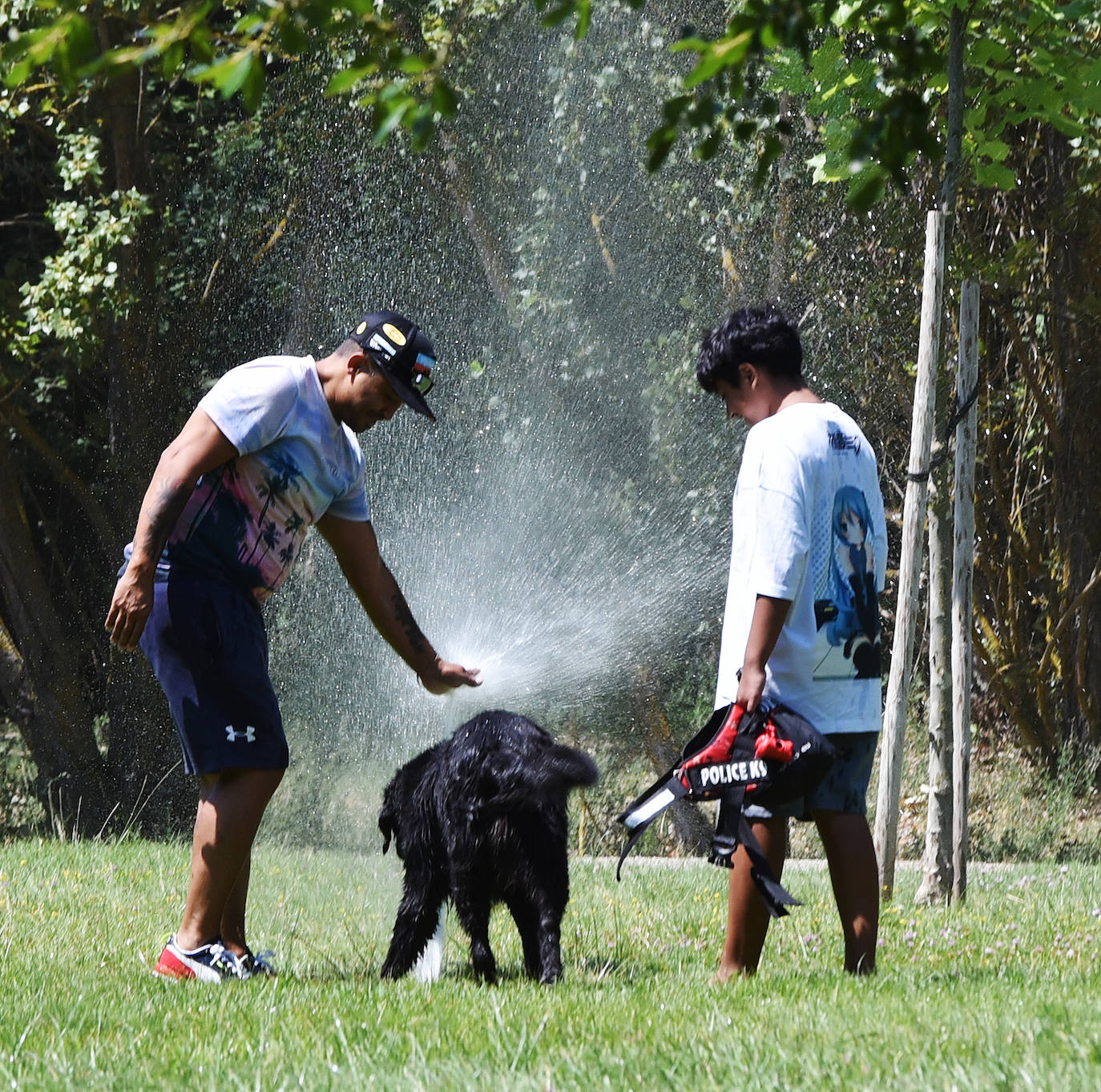 Fotos: Domingo de calor en Logroño