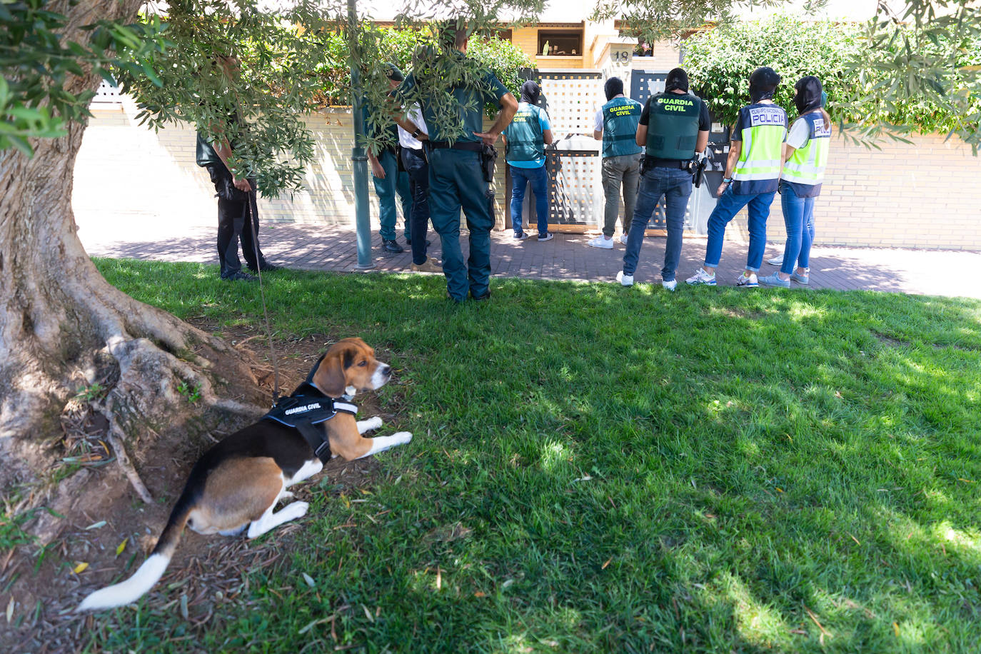 Fotos: Las imágenes de la operación policial en Lardero y Logroño