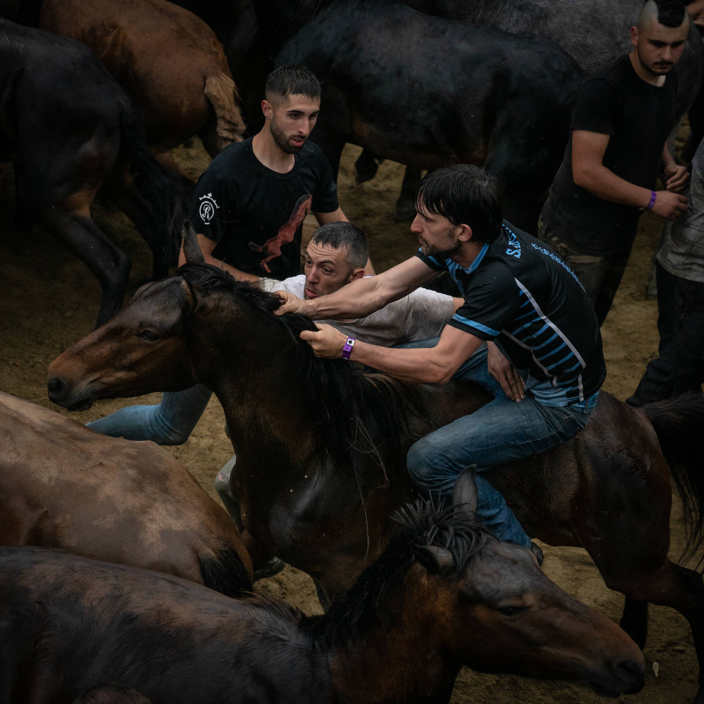 Fotos: Genuino sabor gallego