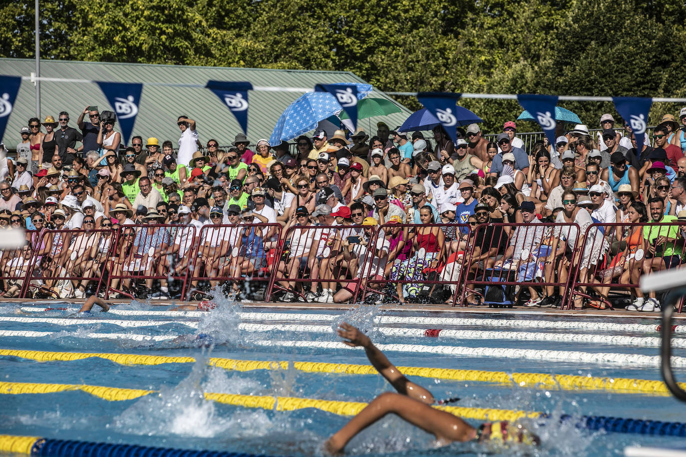 Fotos: Campeonato de España Infantil de natación en Logroño