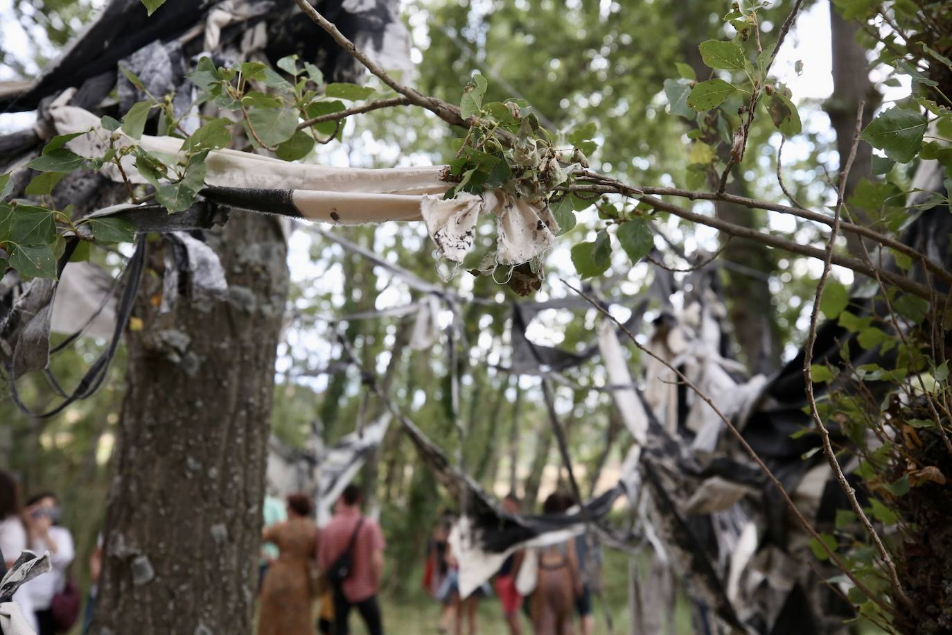 Fotos: El festival de arte rural Arte en la Tierra regresó a Santa Lucía después de dos años