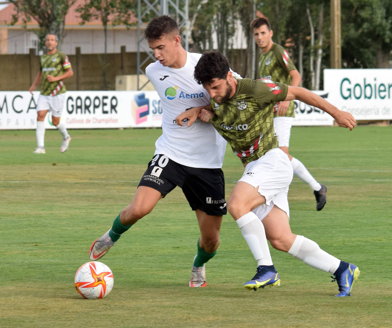 Fotos: Las imágenes del partido SD Logroñés-Alfaro