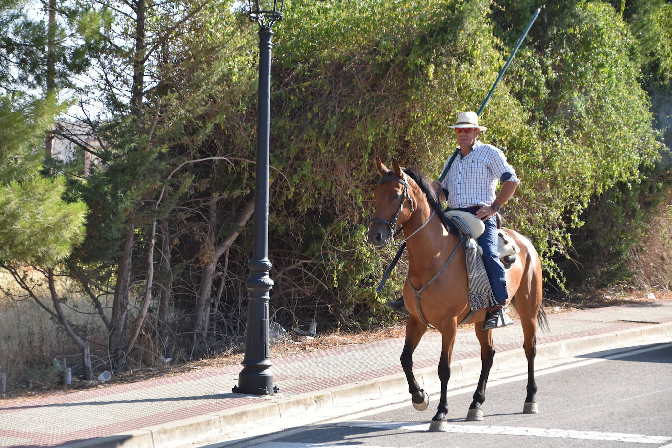 Fotos: La saca de vacas de Valverde