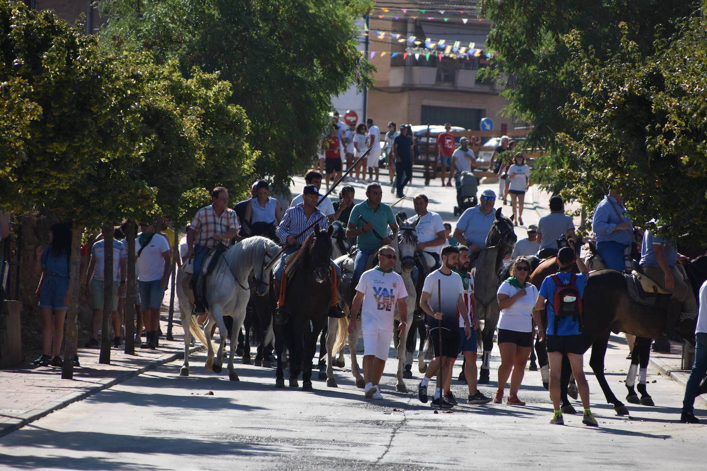 Fotos: La saca de vacas de Valverde