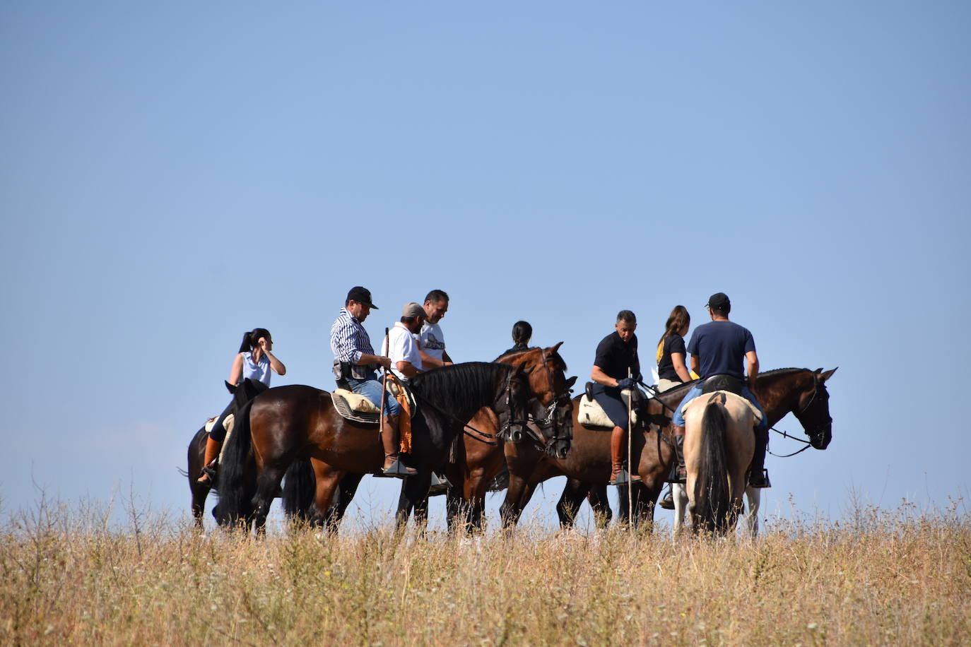 Fotos: La saca de vacas de Valverde