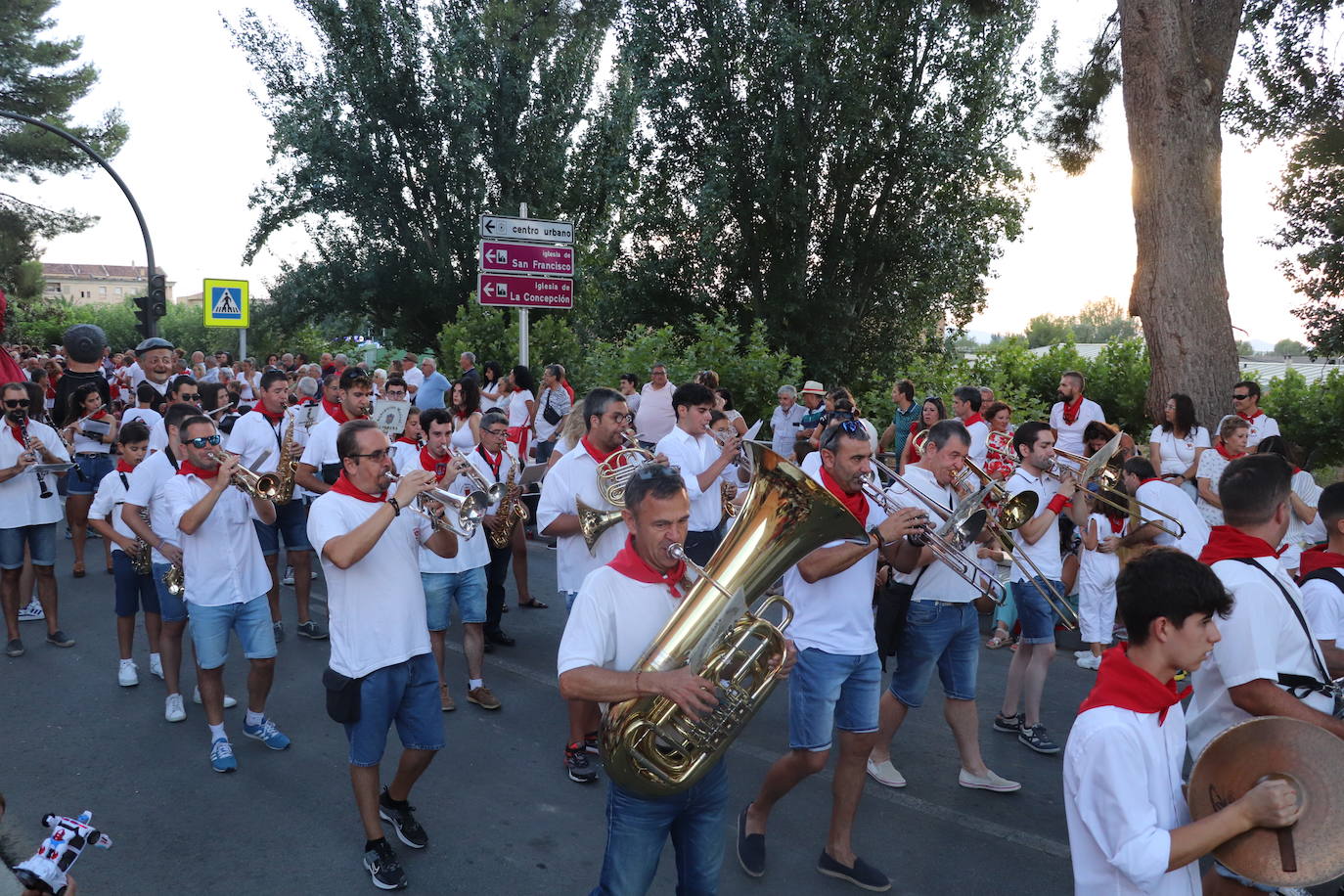 Fotos: El desfile de carrozas de Alfaro