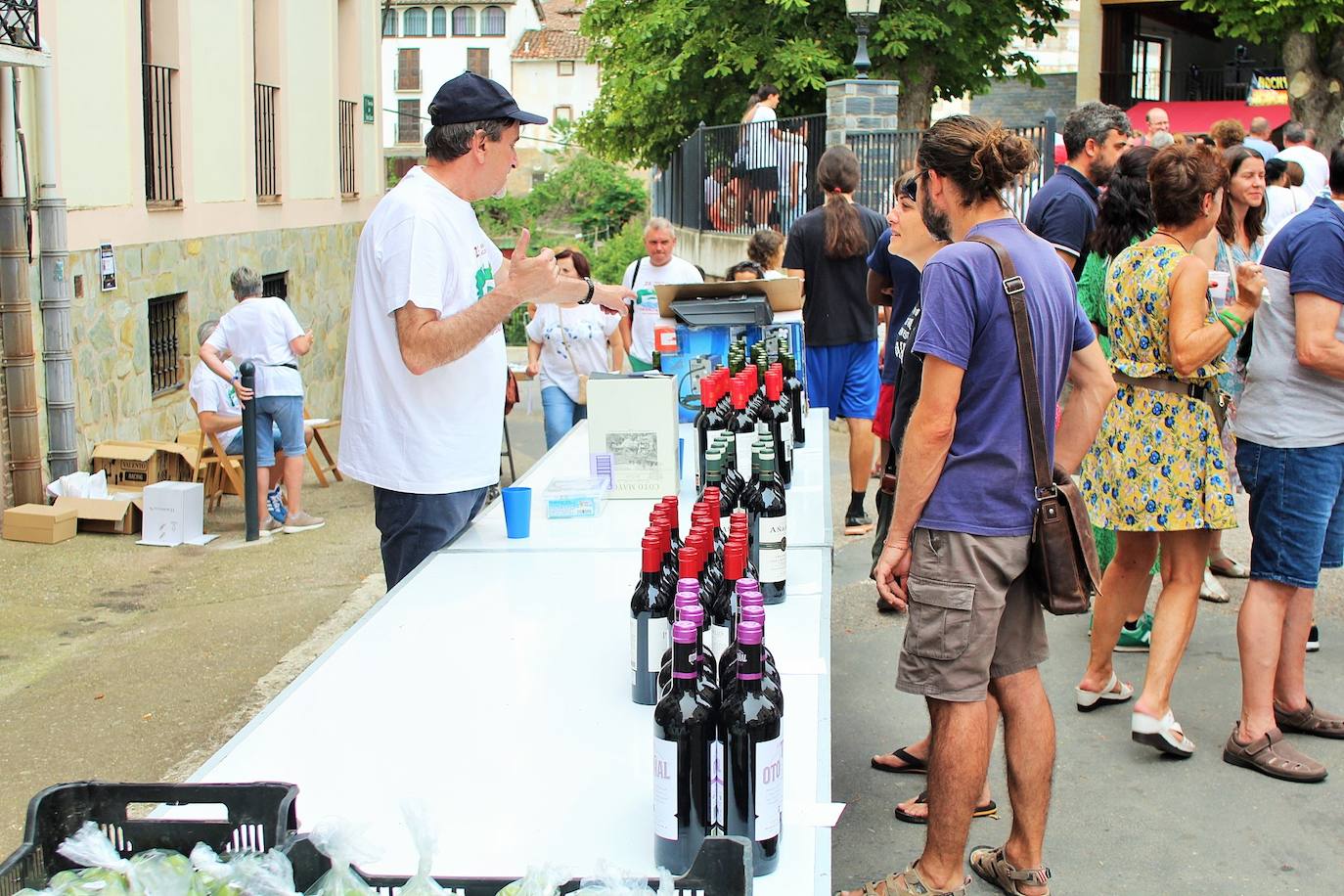 Fotos: 25 Fiesta de la Solidaridad de Torrecilla