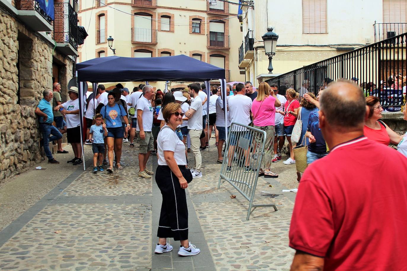 Fotos: 25 Fiesta de la Solidaridad de Torrecilla