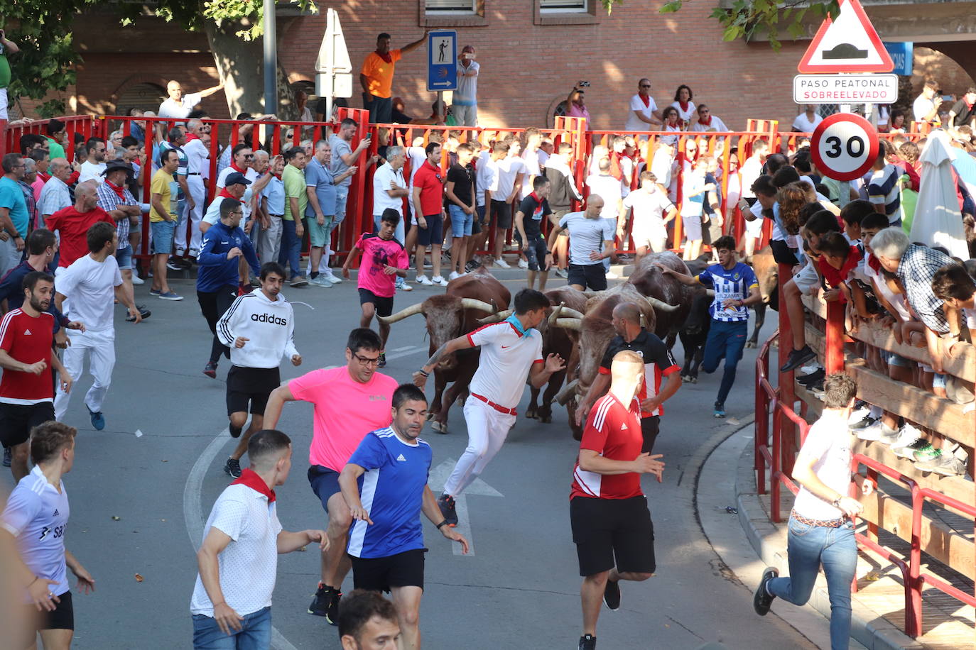 Fotos: Alfaro, territorio festivo