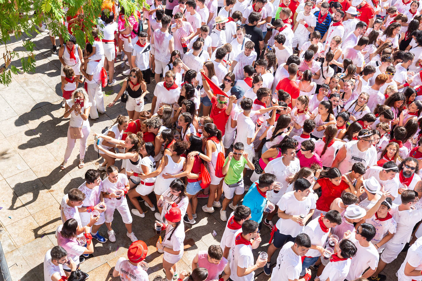 Fotos: El cohete desborda la alegría en Alfaro