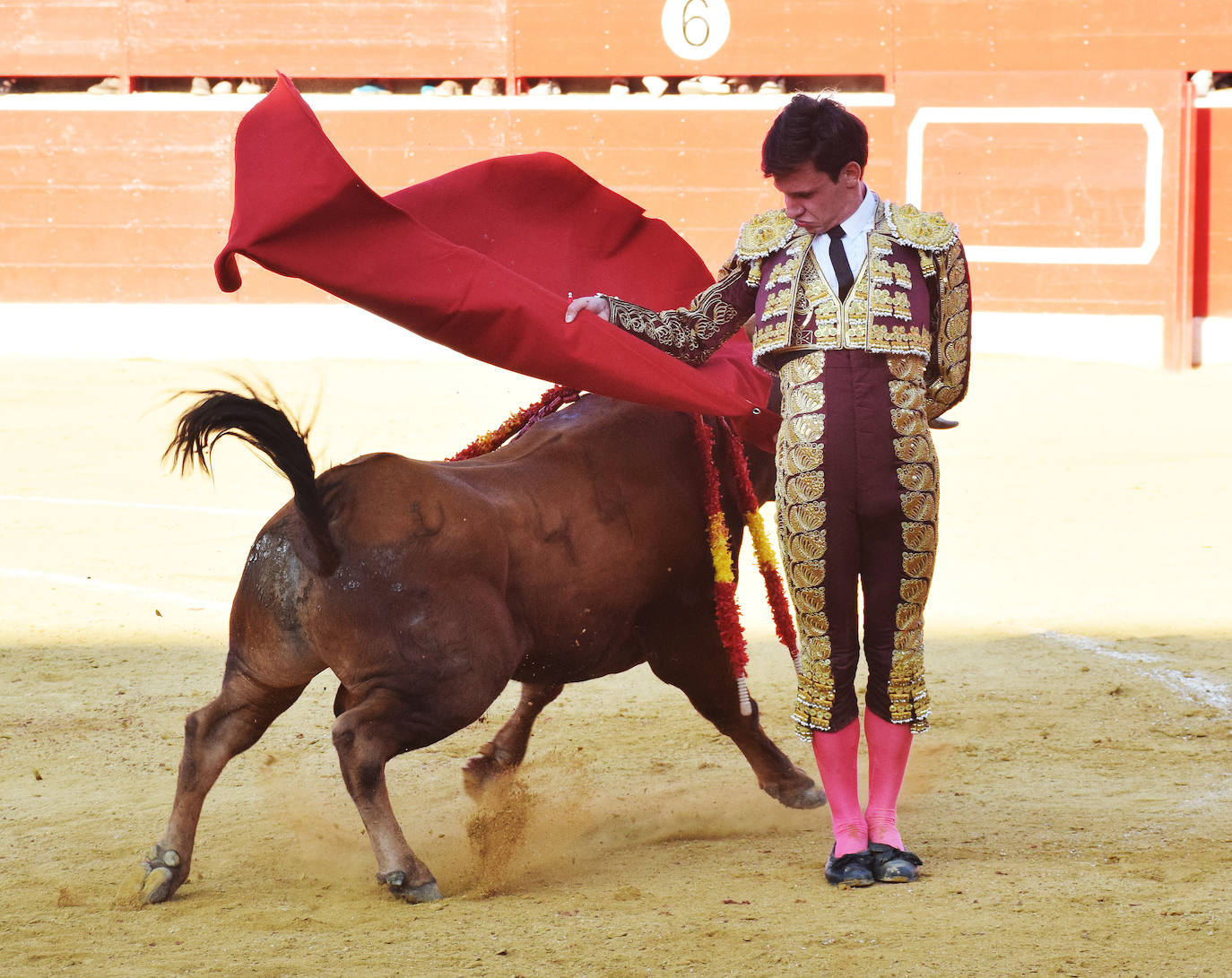 Fotos: Triunfo de Fabio Jiménez en la corrida de Alfaro