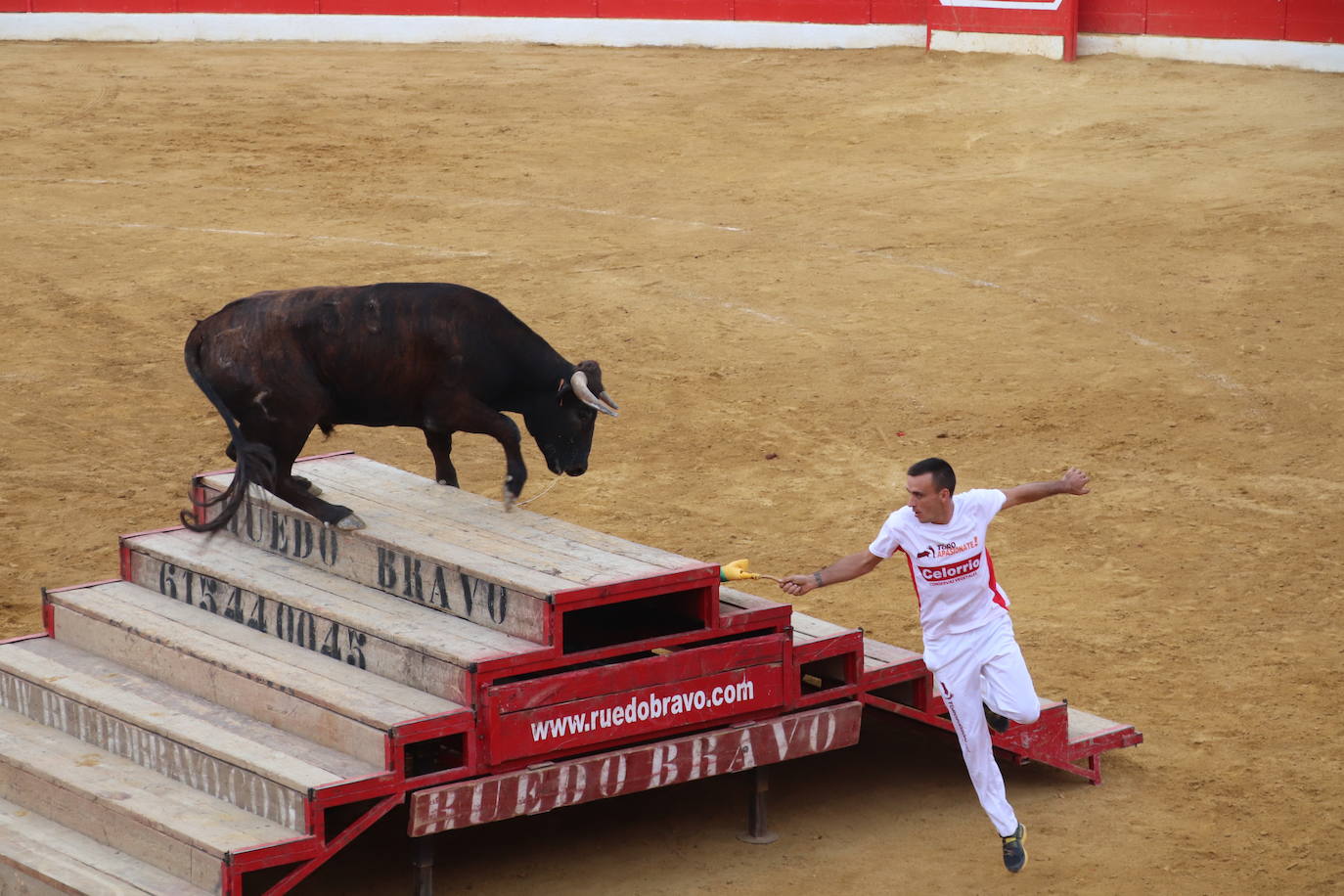 Fotos: Las imágenes de la fiesta en Alfaro