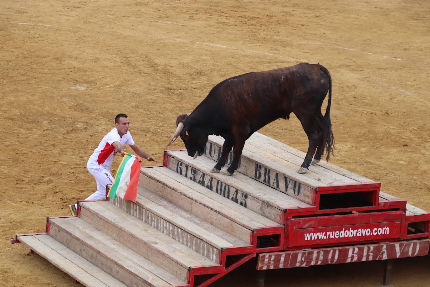 Fotos: Las imágenes de la fiesta en Alfaro