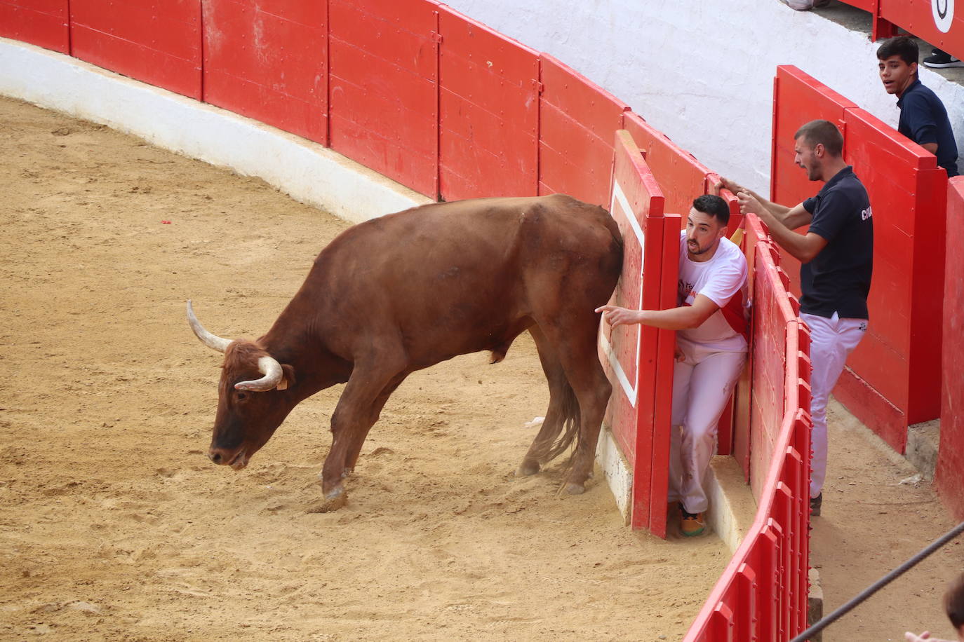 Fotos: Las imágenes de la fiesta en Alfaro