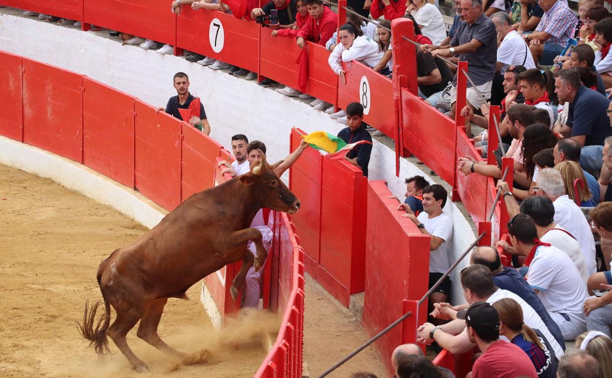 Fiestas de Alfaro