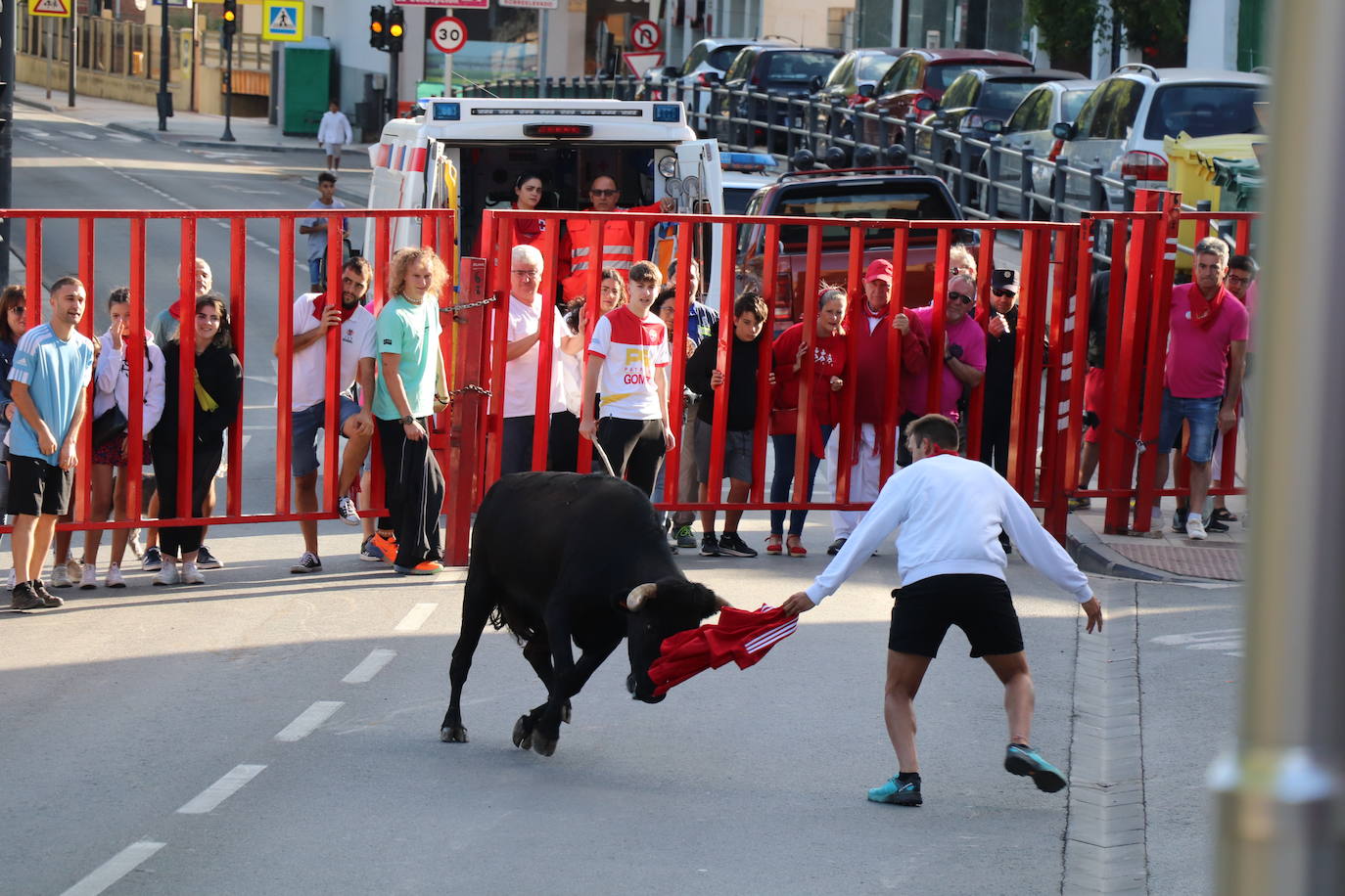 Fotos: Los festejos menores triunfan en las fiestas de Alfaro