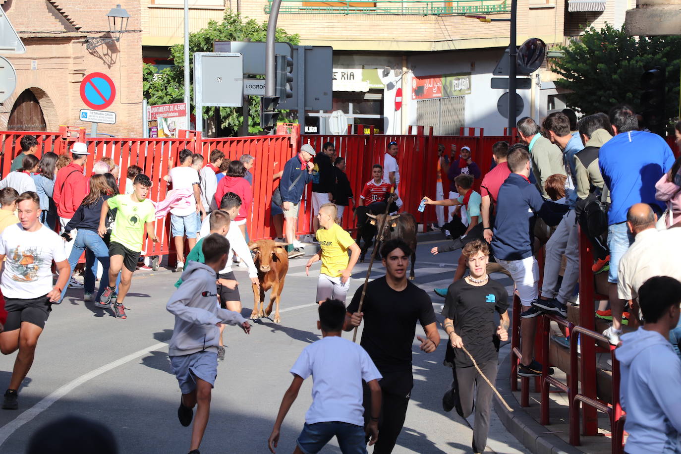 Fotos: Los festejos menores triunfan en las fiestas de Alfaro