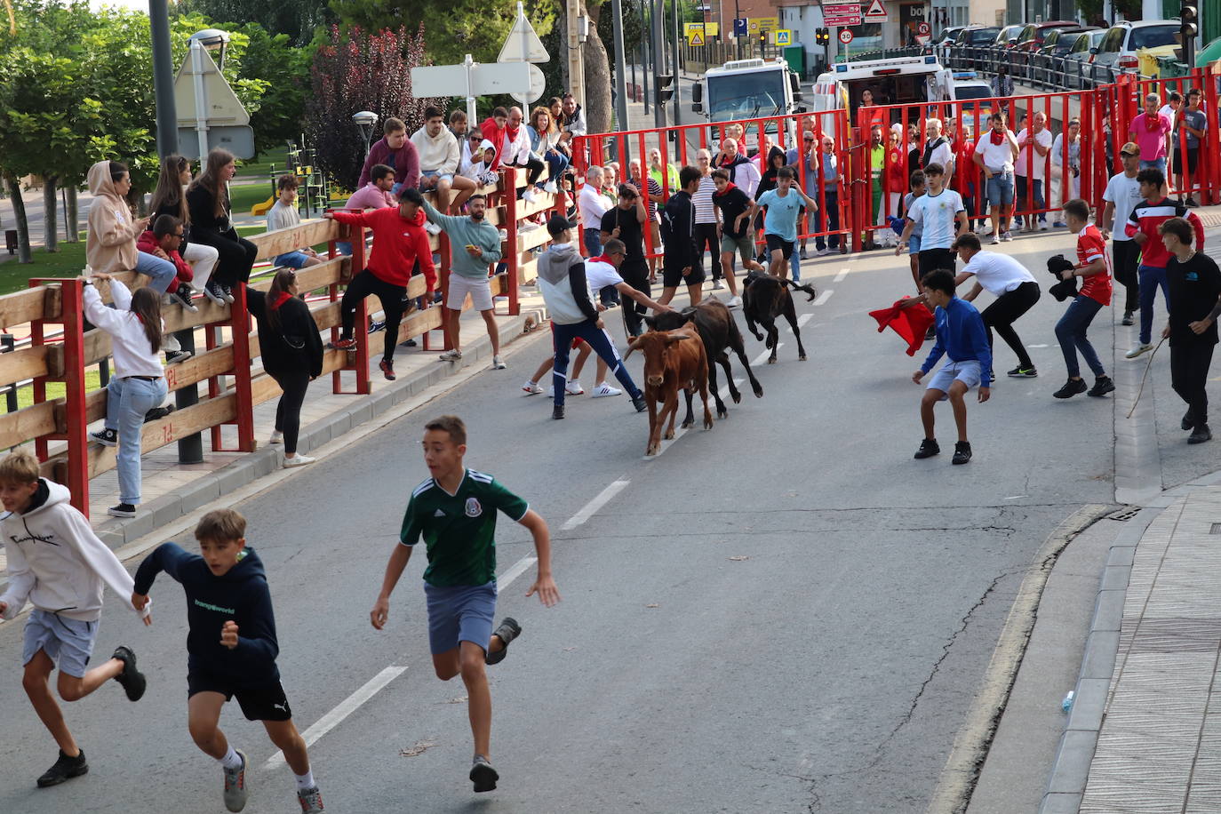 Fotos: Los festejos menores triunfan en las fiestas de Alfaro