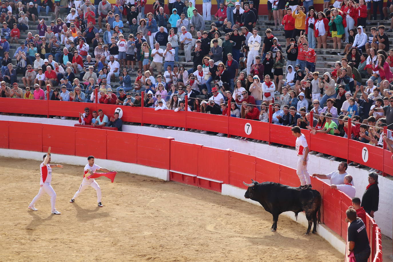 Fotos: Los festejos menores triunfan en las fiestas de Alfaro