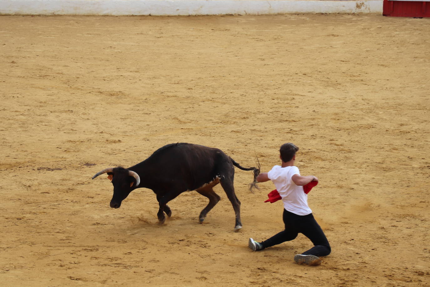 Fotos: Los festejos menores triunfan en las fiestas de Alfaro