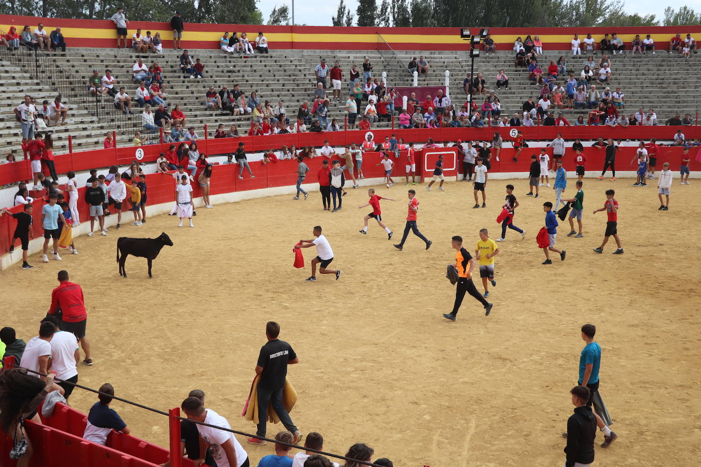 Fotos: Los festejos menores triunfan en las fiestas de Alfaro