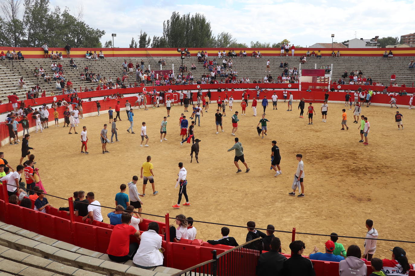 Fotos: Los festejos menores triunfan en las fiestas de Alfaro