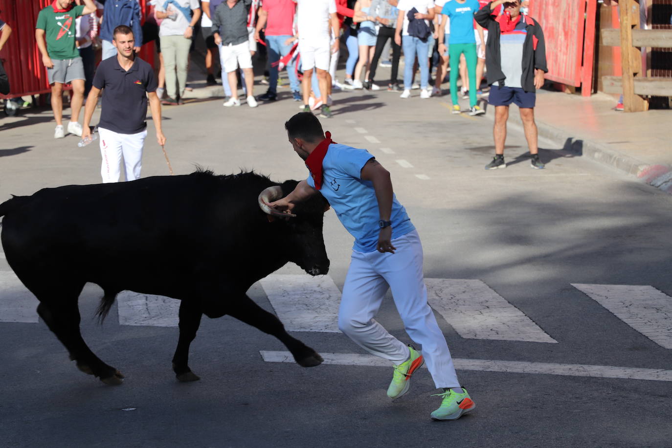 Fotos: Los festejos menores triunfan en las fiestas de Alfaro