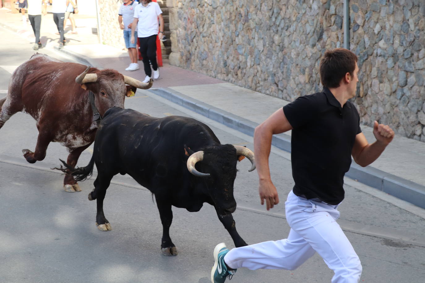 Fotos: Los festejos menores triunfan en las fiestas de Alfaro