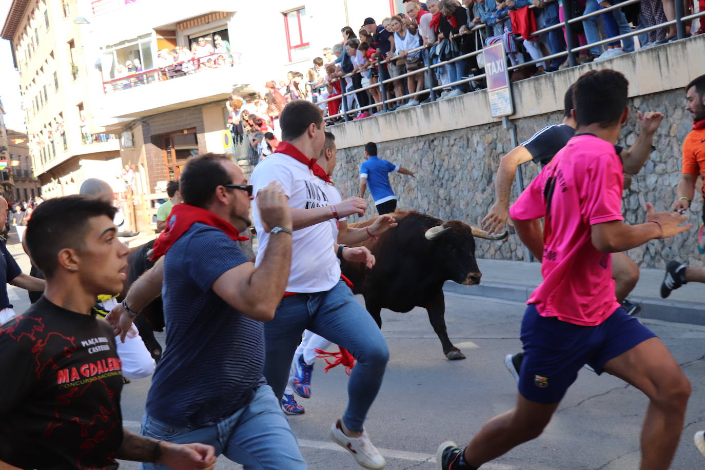 Fotos: Los festejos menores triunfan en las fiestas de Alfaro