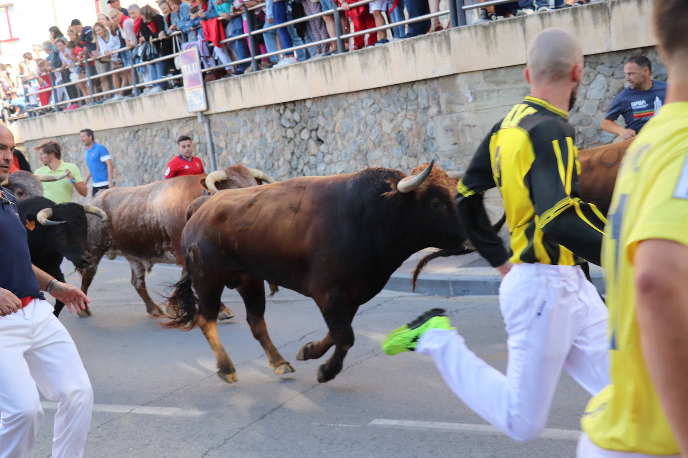 Fotos: Los festejos menores triunfan en las fiestas de Alfaro