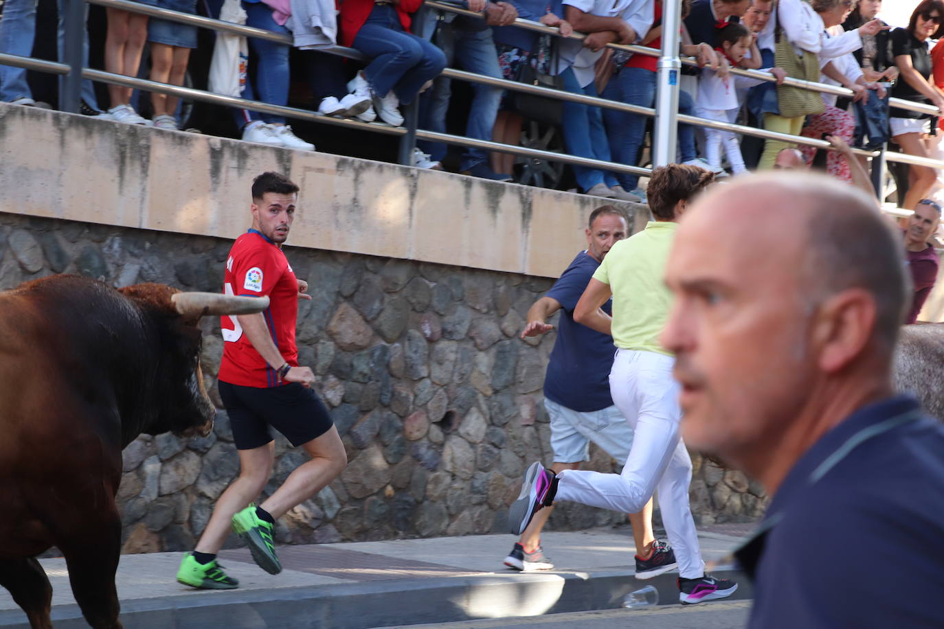 Fotos: Los festejos menores triunfan en las fiestas de Alfaro