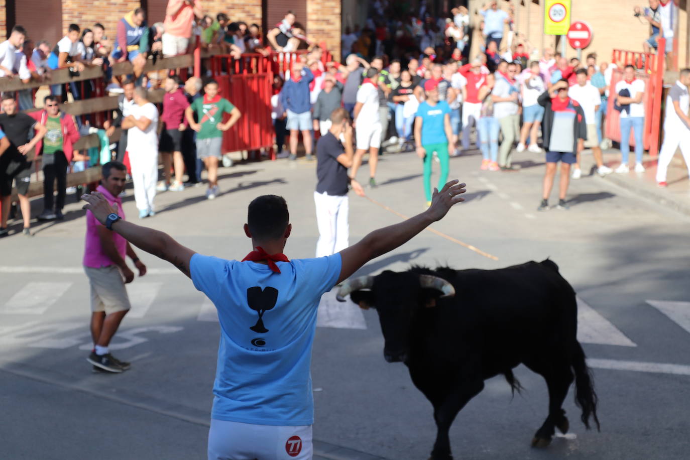 Fotos: Los festejos menores triunfan en las fiestas de Alfaro