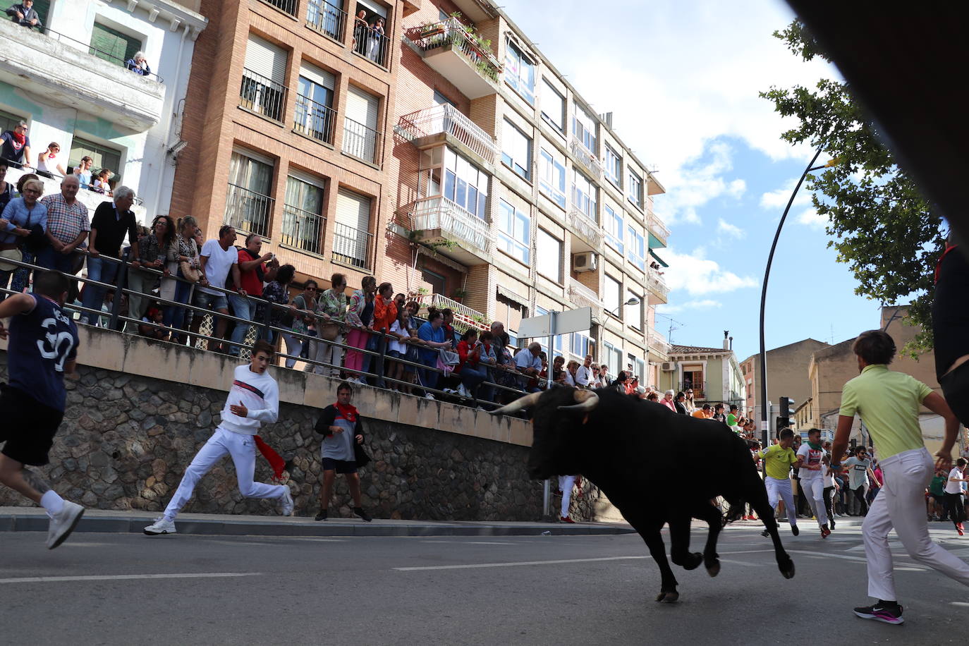 Fotos: Los festejos menores triunfan en las fiestas de Alfaro